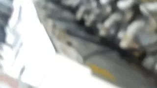 A tease at the laundry matt