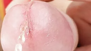 Etwas Pipi,  etwas Sahne