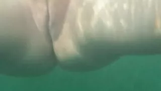 Sea pussy
