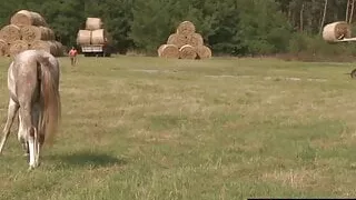 Smut Puppet - Eine richtige MILF Blowjob Compilation