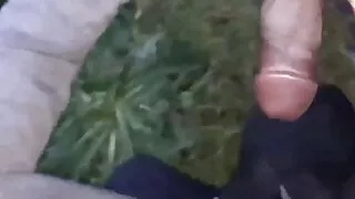 Der schwarze Schwanz gibt mir eine sexuelle Aufladung