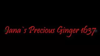 Precious Ginger 1637