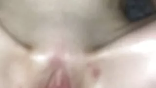 Sex achter in de Bus