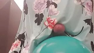 Travestis, Papá, Vestido, Manuela, Guapa, Juguetes