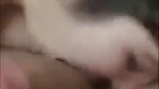 Ela Gives a Blowjob To Her Lover