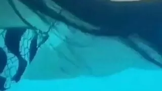 VP07 - veronica privat 12drr