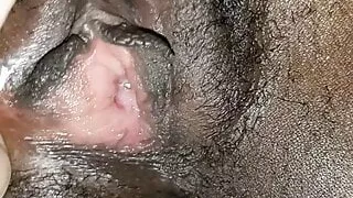 She likes her toy, look how wet she is