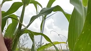 Amateur, Zaad, Homoseksueel, Masturbatie, Buitenshuis, Openbaar