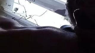 Young boy suck my dick