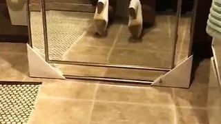 Horny bridesmaid fucking a thief