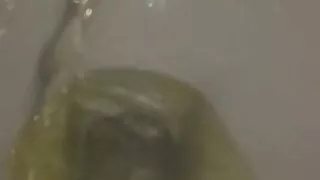 Light skin ebony pee