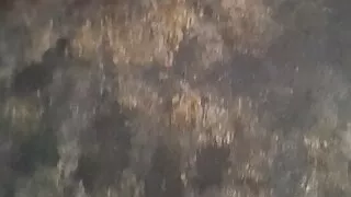 masturbating in my cum covered swimsuit