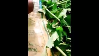 desi indian village bhabhi outdoor farmhouse sex with husnan