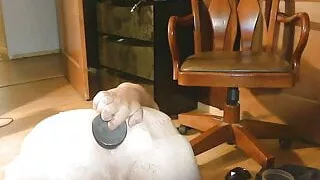 analgape king huge gape and queef with poppers part3