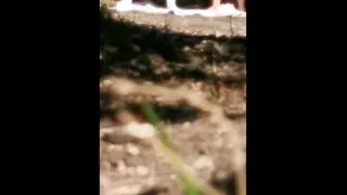 exhibitionist wife likes to be fucked