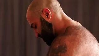 HAIRYANDRAW Saul Leinad Rimmed And Raw Bred By Atlas Grant