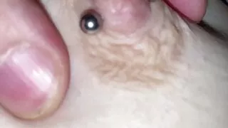 Italian Couple Compilation