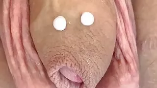 The Adventures of Mr. Dick