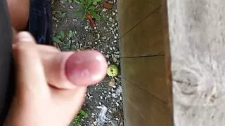 Jerking off my small dick in nature!