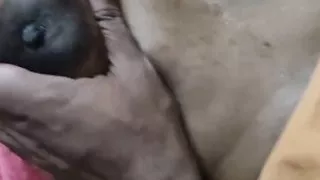 Indian bhabhi sex videos