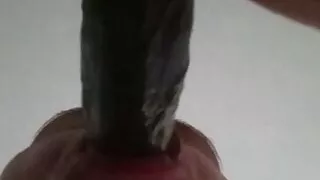 Sucking my fiance’s juicy cock