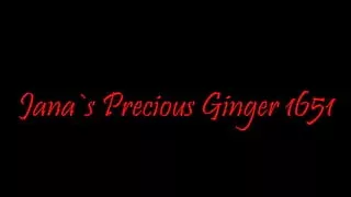 Precious Ginger 1651