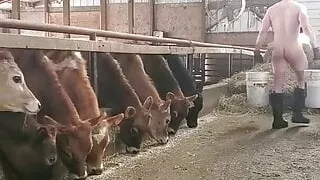 Farmer in short scenes