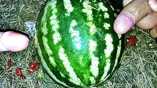 Fucking a WATERMELON with a dildo in the forest