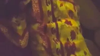 Maya Patel’s sex mms with devar live insta – thecutebomb