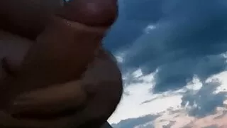 morning exhibition in the fields