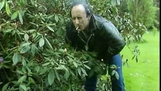 Liaisons coupables (1987, Sandra Morin, full video, DVD)