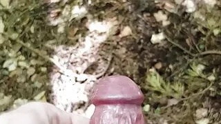 POV riskantes Wichsen im öffentlichen Wald mit massivem Cumshot