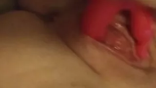 Fun with my favorite rabbit vibe