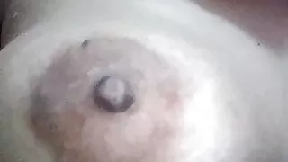 Sella Universal Motor KK