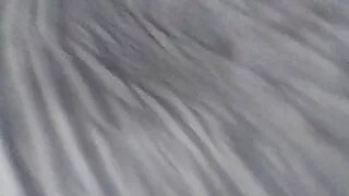 Jovencita adicta a mi verga.