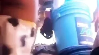 Ngentot dibelakang rumah. Gak tahan sampai muncrat