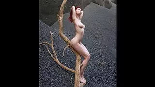 Precious Ginger 1661