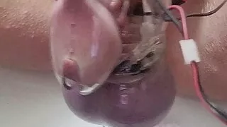 Electro chastity sissygasm