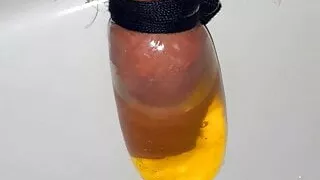 filling a condom with piss