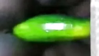 Ebony wife fuck giant cucumber doggy