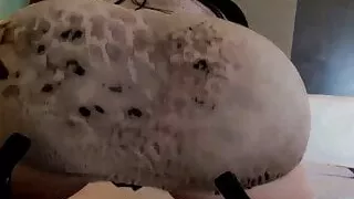 Ceo Milioneraire Oszukuje Na Zonie Z Niezwykle Krzywym Model