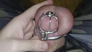 Permanent Chastity - Cumming under the blanket