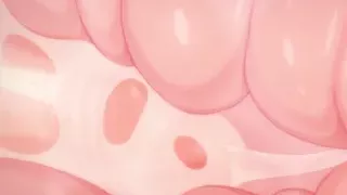 Astolfo wird von Shimakaze tief getroffen