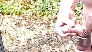 Fun in my Car 21 Closeup