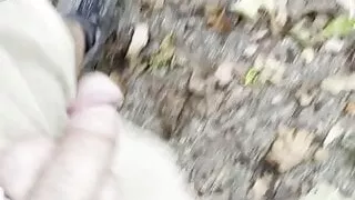 Nature walk with my cock out