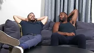 Velký Pták, černá, Semnou, Noha, Přítel, Gay