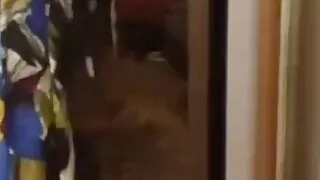 While the son is not at home