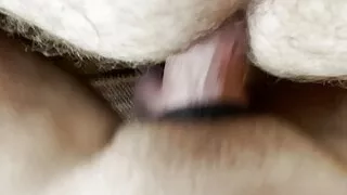 Fuck N Breed with Hankeys Toys Horny Rhino