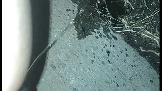Watch me piss in public and have a little fun