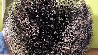 bratty girls dominate shoe cleaner Joschi